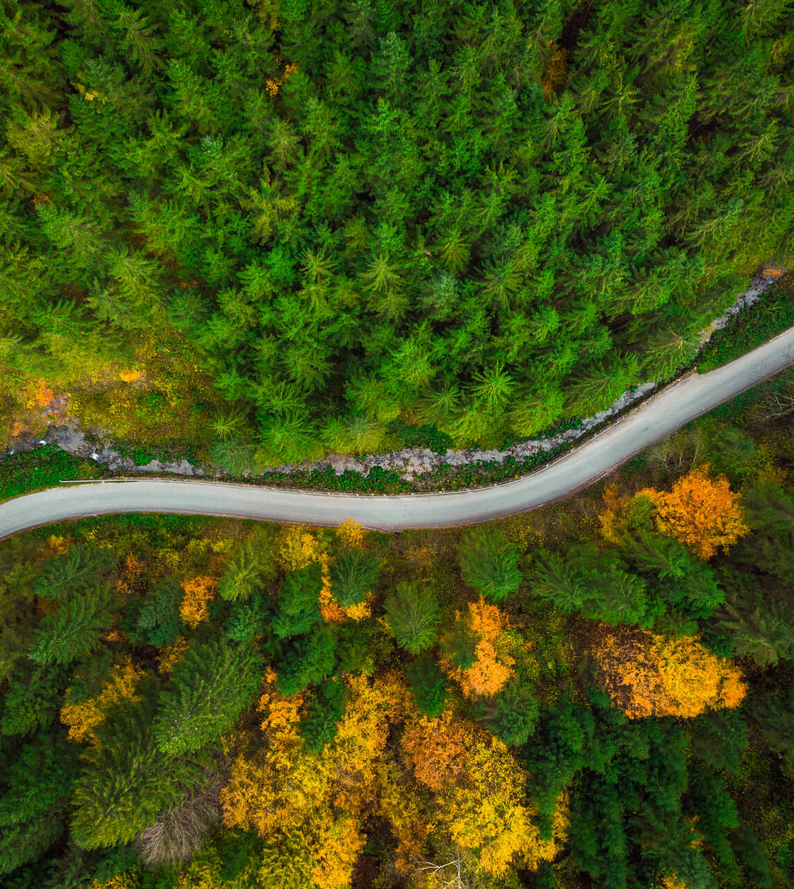 Nature’s Path