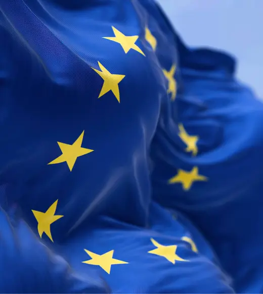 European private equity industry – WebSCAN performance review