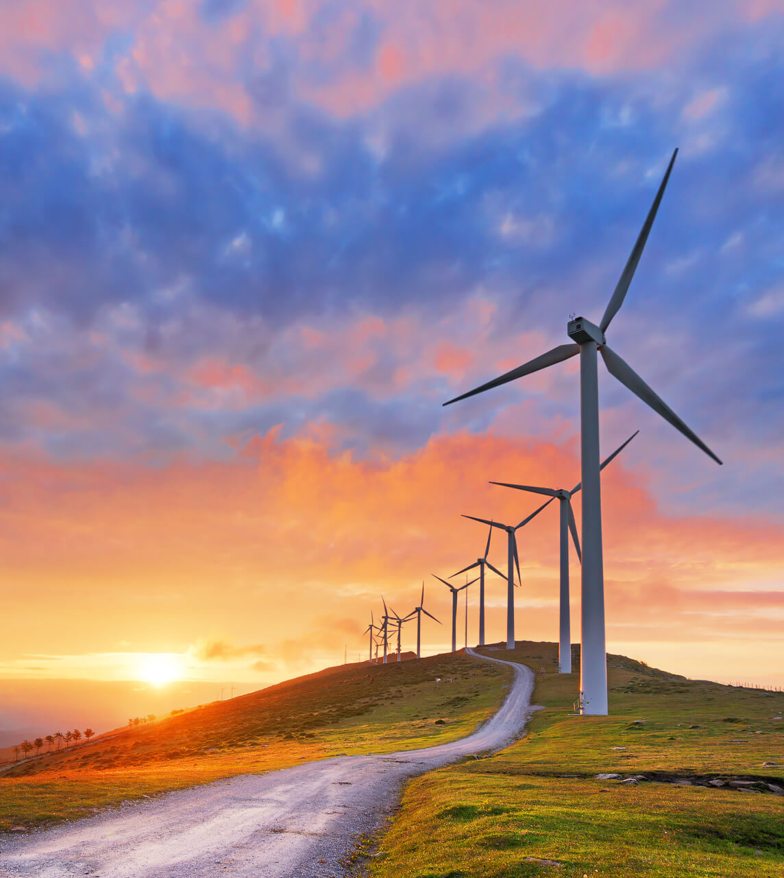 Windmills with evening  sky